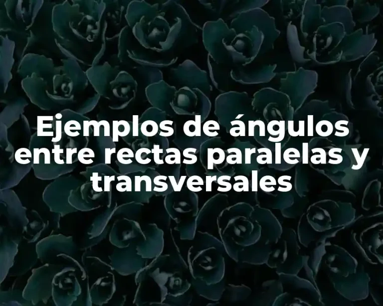 Ejemplos de ángulos entre rectas paralelas y transversales