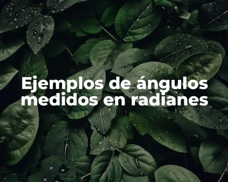 Ejemplos de ángulos medidos en radianes
