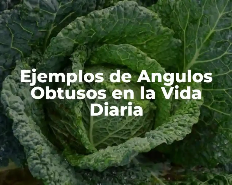 Ejemplos de Angulos Obtusos en la Vida Diaria