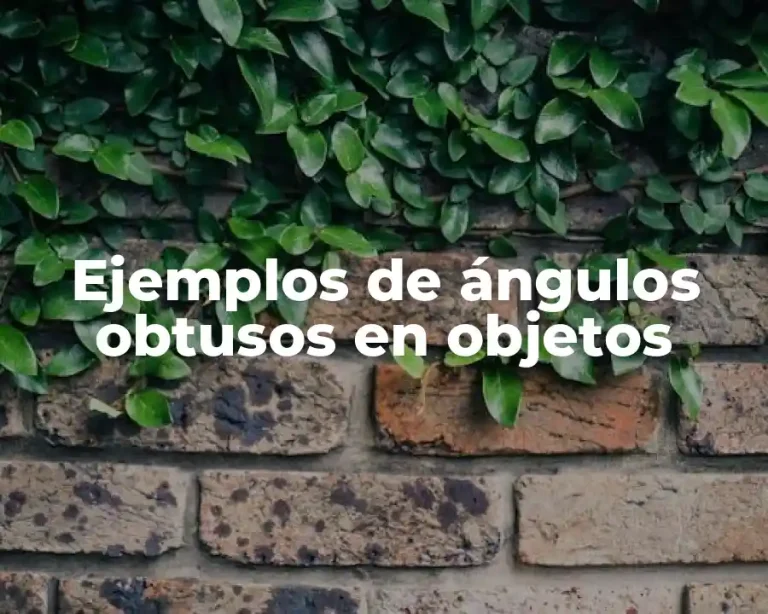 Ejemplos de ángulos obtusos en objetos