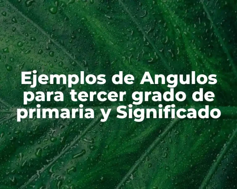 Ejemplos de Angulos para tercer grado de primaria y Significado