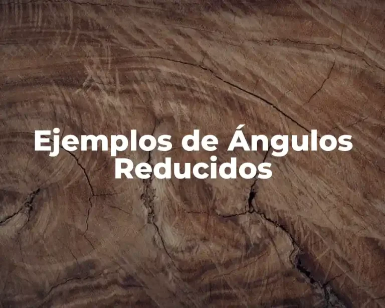 Ejemplos de Ángulos Reducidos