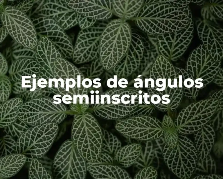 Ejemplos de ángulos semiinscritos