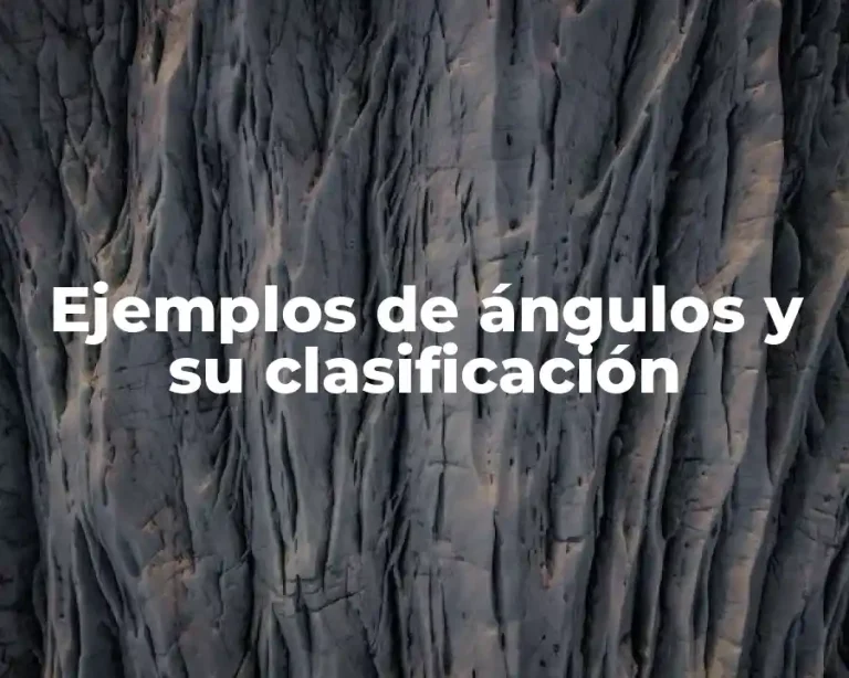 Ejemplos de ángulos y su clasificación