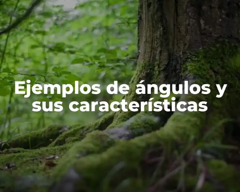 Ejemplos de ángulos y sus características