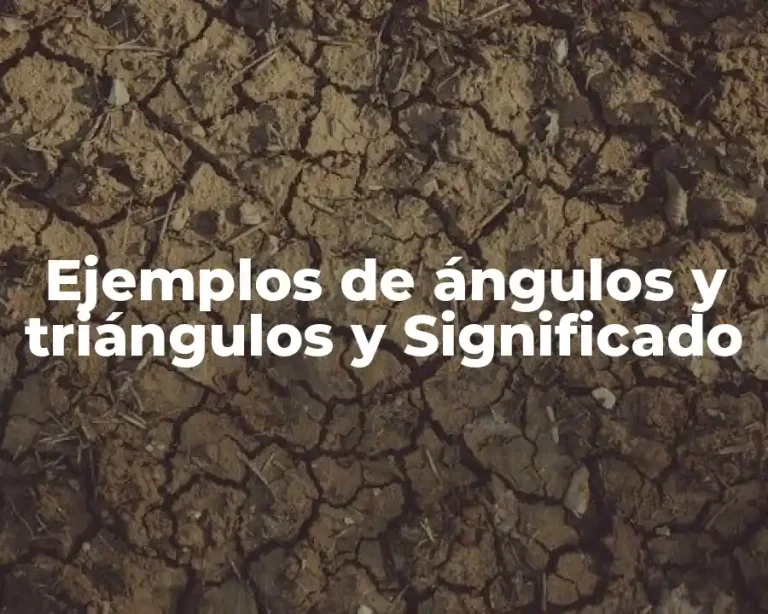 Ejemplos de ángulos y triángulos y Significado