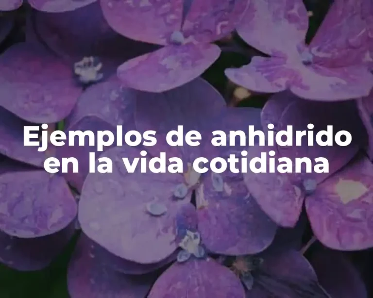 Ejemplos de anhidrido en la vida cotidiana