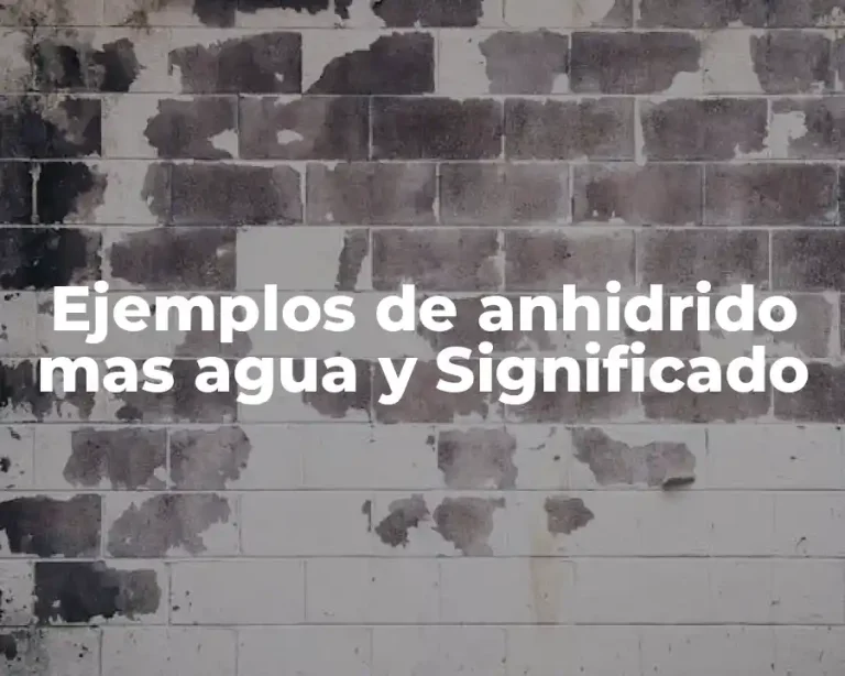 Ejemplos de anhidrido mas agua y Significado