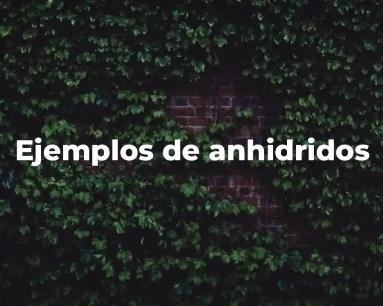 Ejemplos de anhidridos