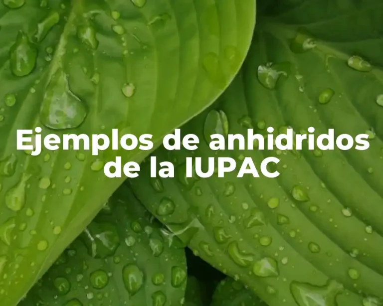 Ejemplos de anhidridos de la IUPAC