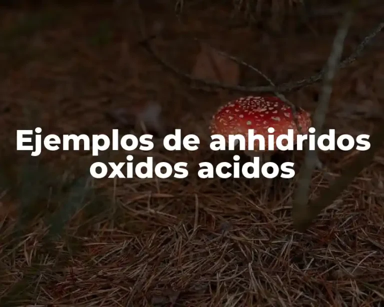 Ejemplos de anhidridos oxidos acidos