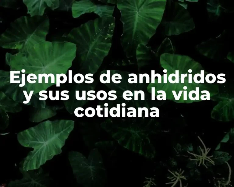 Ejemplos de anhidridos y sus usos en la vida cotidiana