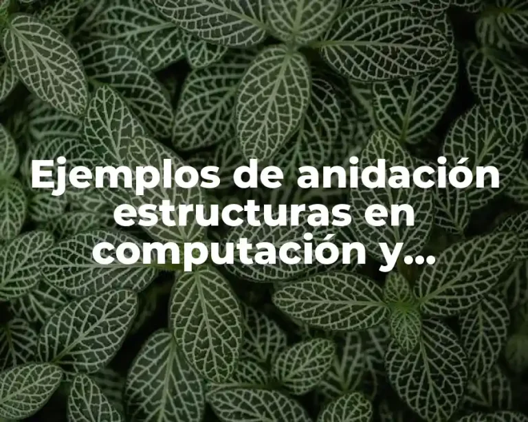 Ejemplos de anidación estructuras en computación y Significado