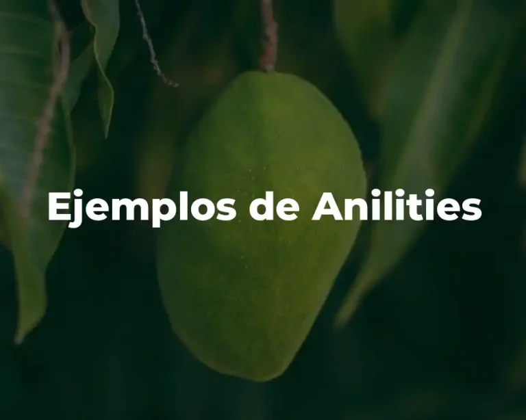Ejemplos de Anilities