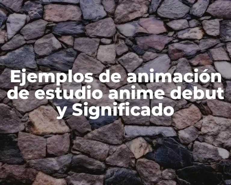 Ejemplos de animación de estudio anime debut y Significado