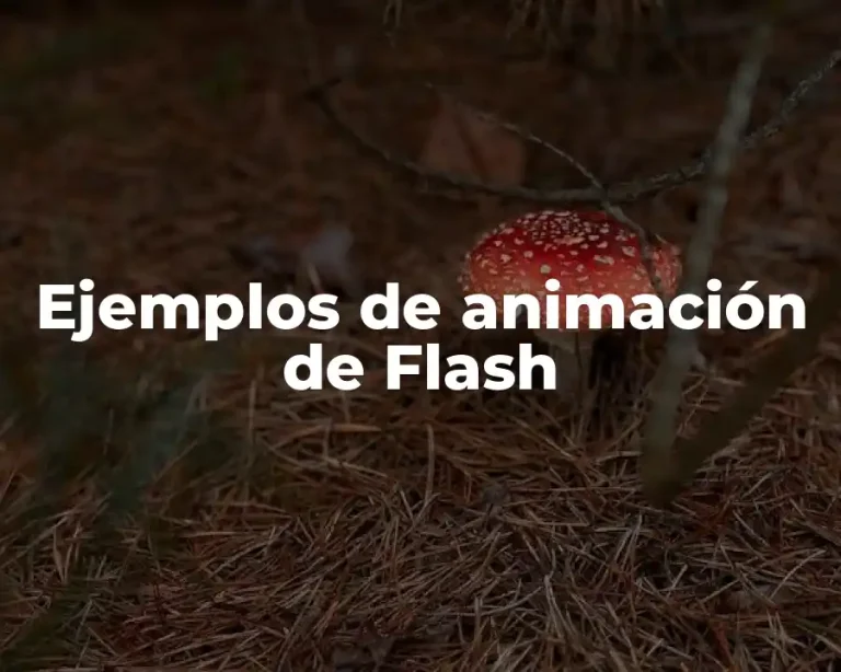 Ejemplos de animación de Flash