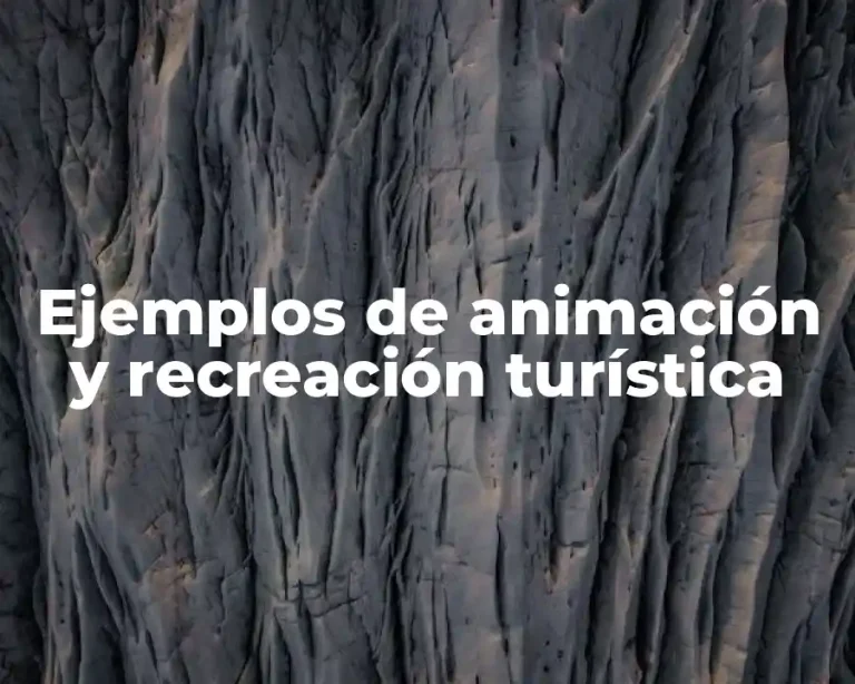 Ejemplos de animación y recreación turística