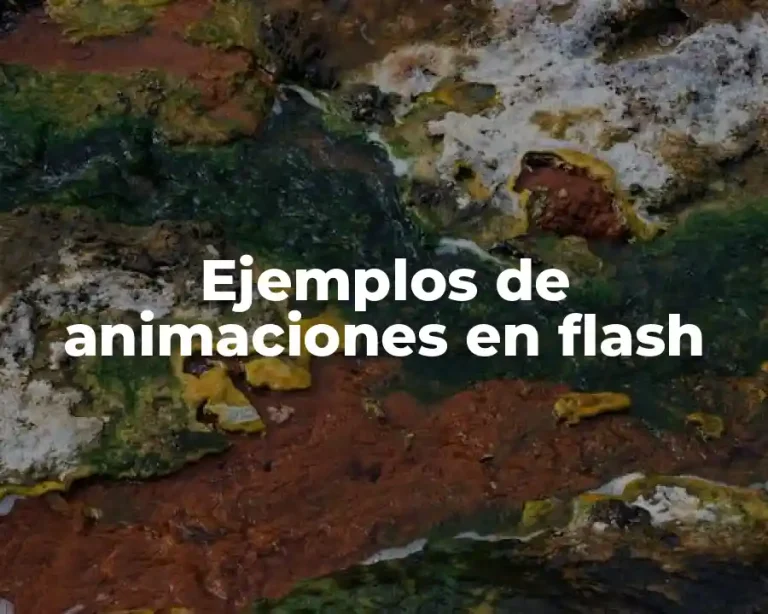 Ejemplos de animaciones en flash