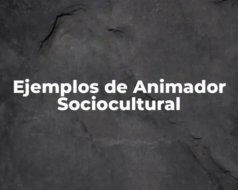 Ejemplos de Animador Sociocultural
