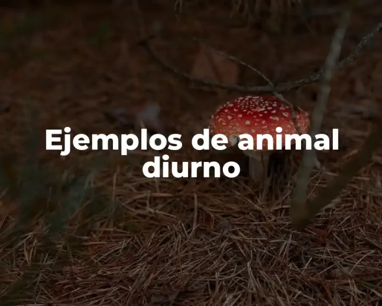 Ejemplos de animal diurno
