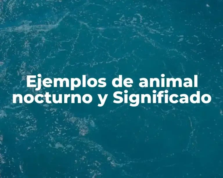 Ejemplos de animal nocturno y Significado