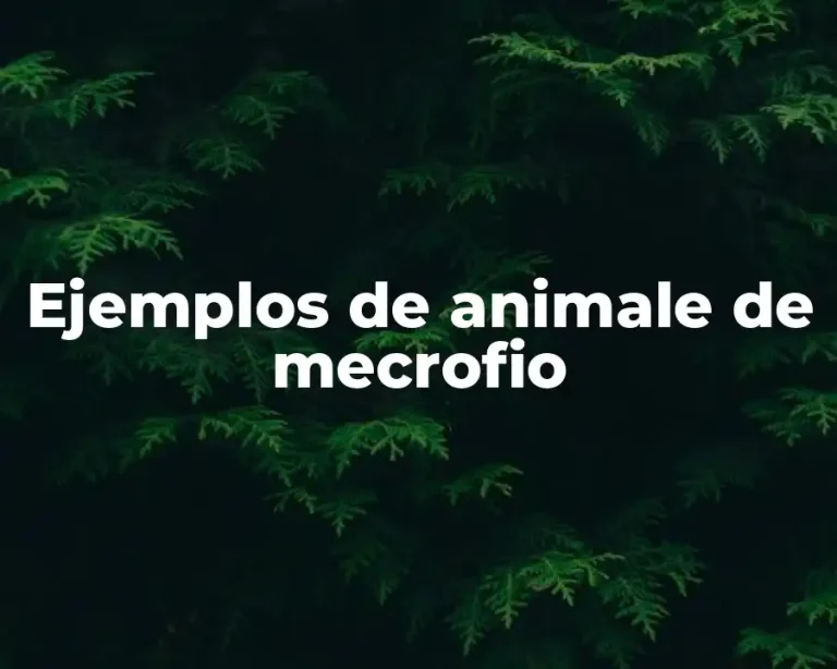 Ejemplos de animale de mecrofio