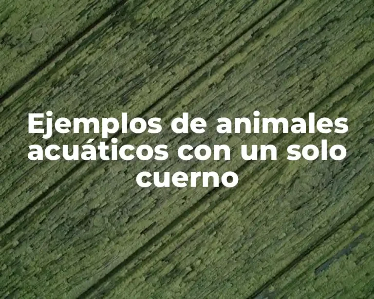 Ejemplos de animales acuáticos con un solo cuerno