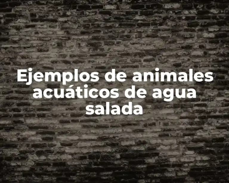 Ejemplos de animales acuáticos de agua salada