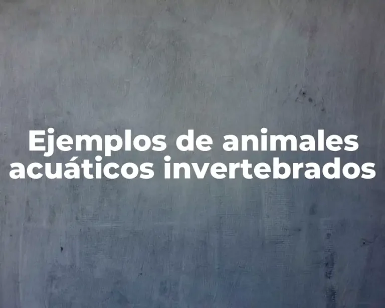 Ejemplos de animales acuáticos invertebrados