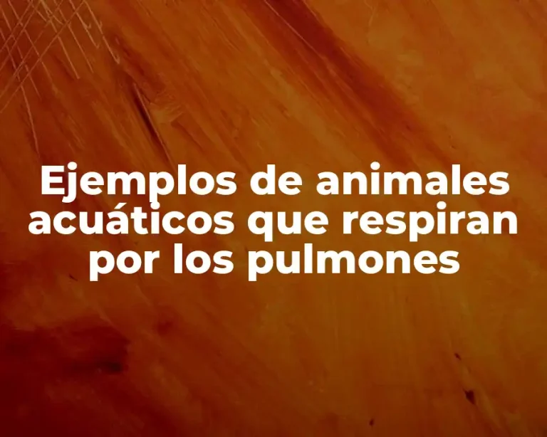 Ejemplos de animales acuáticos que respiran por los pulmones