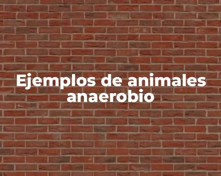 Ejemplos de animales anaerobio