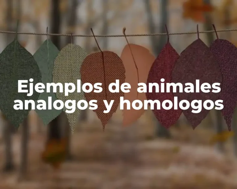 Ejemplos de animales analogos y homologos