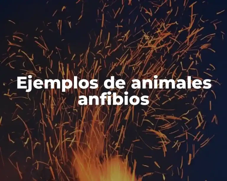 Ejemplos de animales anfibios