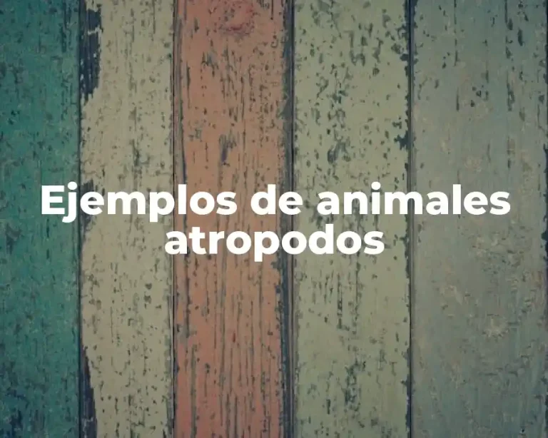 Ejemplos de animales atropodos