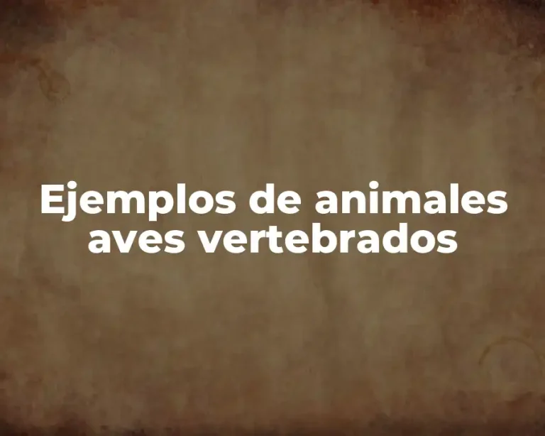 Ejemplos de animales aves vertebrados