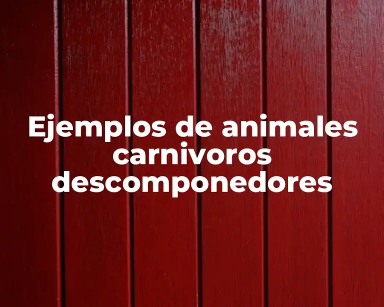 Ejemplos de animales carnivoros descomponedores