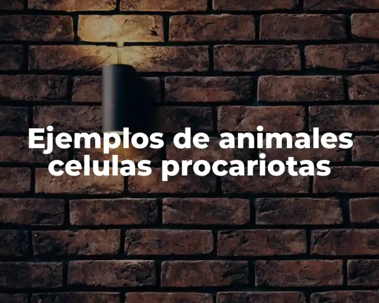 Ejemplos de animales celulas procariotas