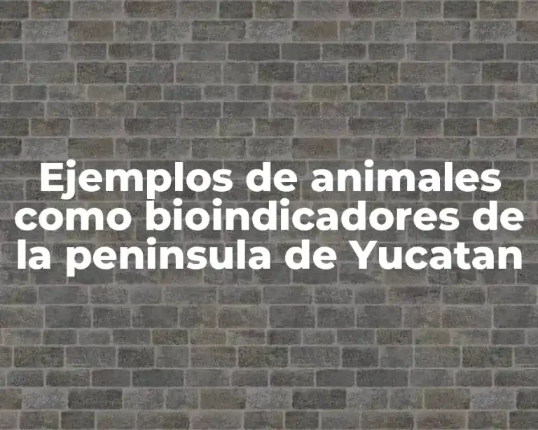 Ejemplos de animales como bioindicadores de la peninsula de Yucatan