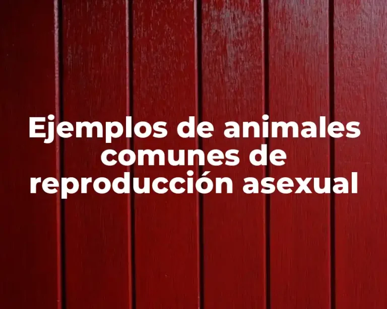 Ejemplos de animales comunes de reproducción asexual