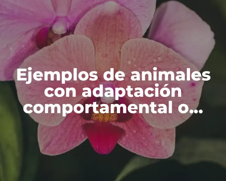 Ejemplos de animales con adaptación comportamental o conductal