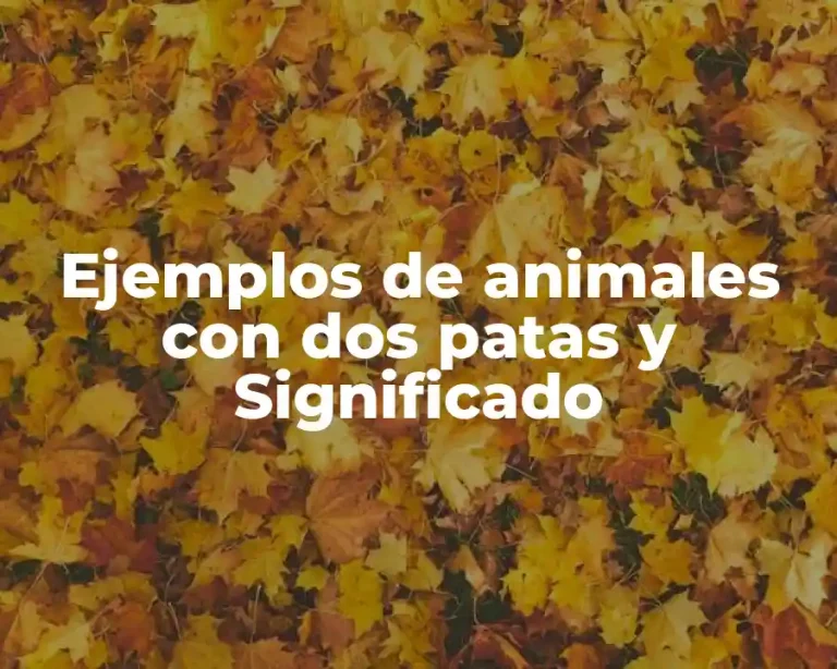 Ejemplos de animales con dos patas y Significado