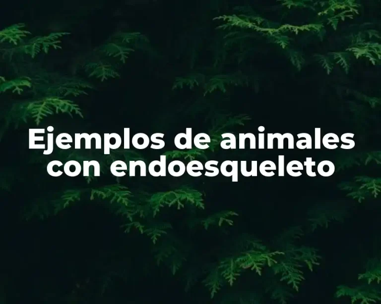 Ejemplos de animales con endoesqueleto