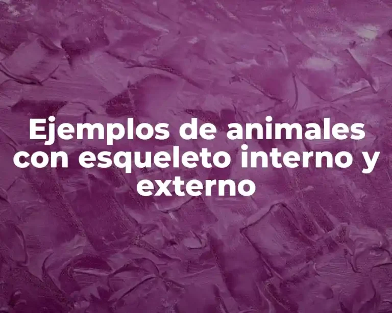 Ejemplos de animales con esqueleto interno y externo