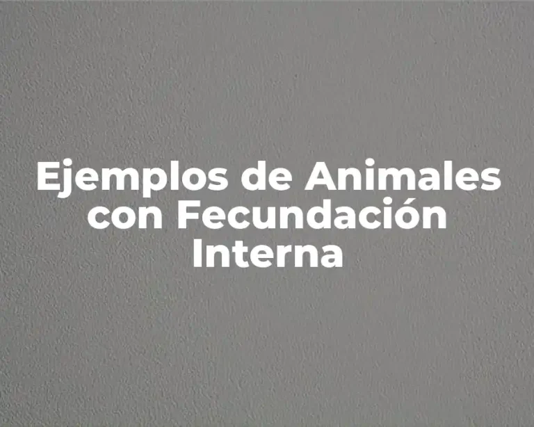 Ejemplos de Animales con Fecundación Interna