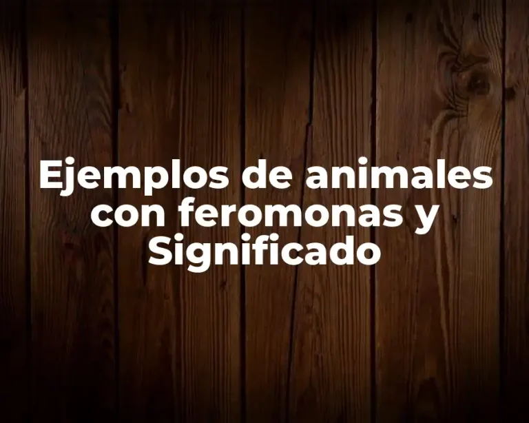 Ejemplos de animales con feromonas y Significado