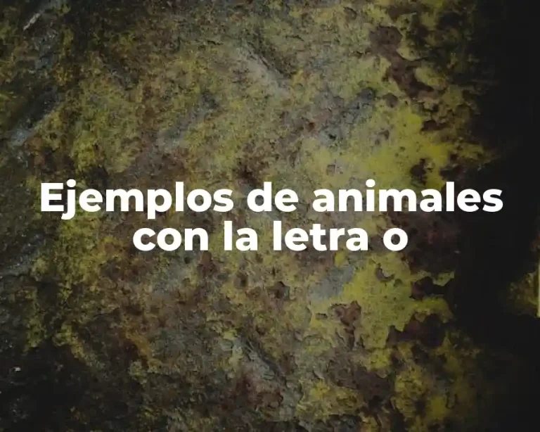 Ejemplos de animales con la letra o