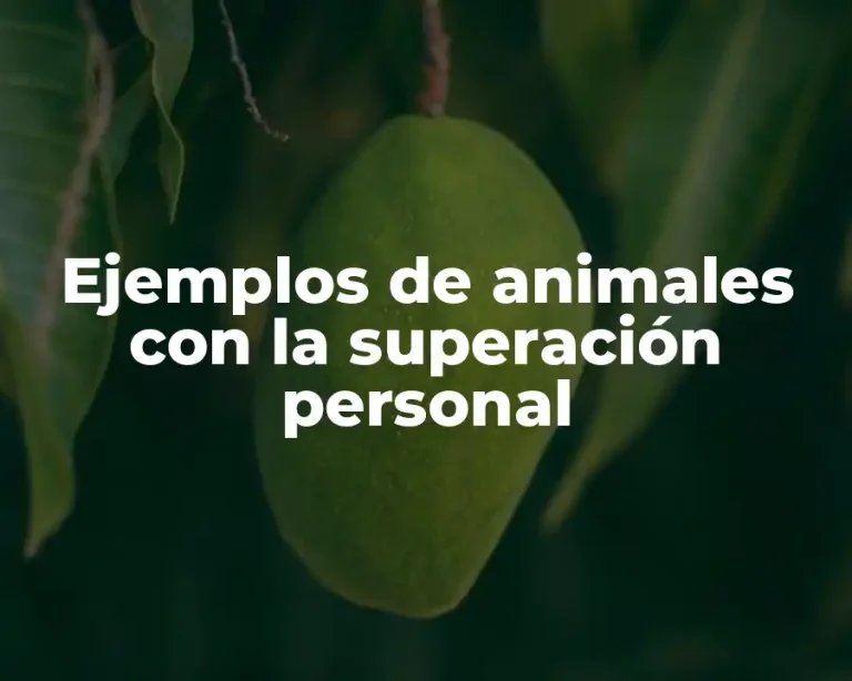Ejemplos de animales con la superación personal