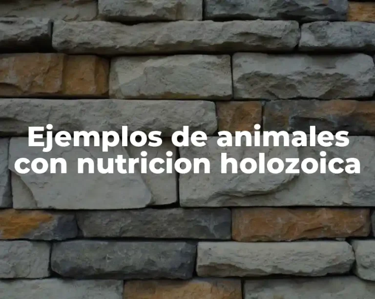 Ejemplos de animales con nutricion holozoica