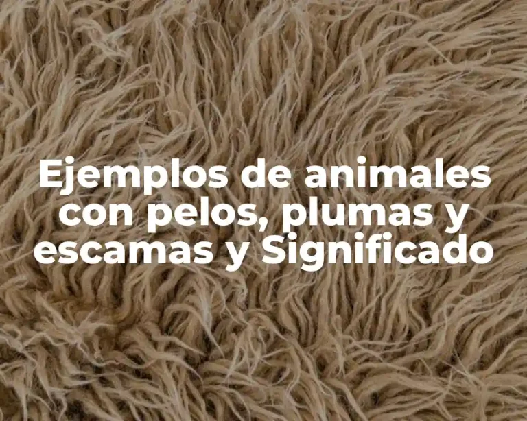 Ejemplos de animales con pelos, plumas y escamas y Significado