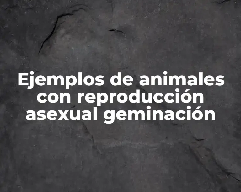 Ejemplos de animales con reproducción asexual geminación
